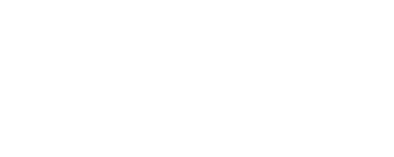 ABOUT US SINCE 2011