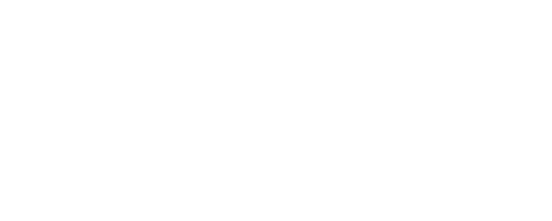 FESTIVAL INFO